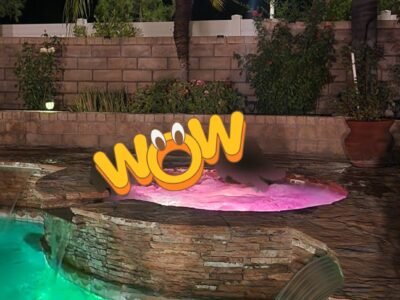 Backyard Pool and Jacuzzi