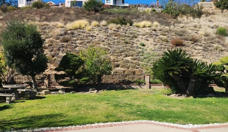 Lush Backyard Lawn with Scenic Hillside - Portland, OR