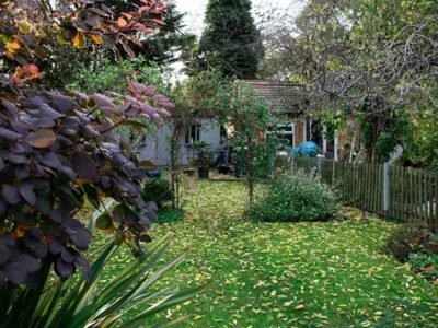 Lush Backyard Garden with Autumn Charm