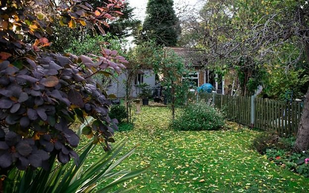 Lush Backyard Garden with Autumn Charm