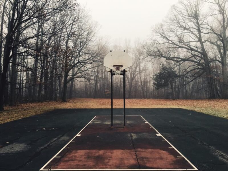 Atmospheric Backyard Basketball Court with Forest Backdrop