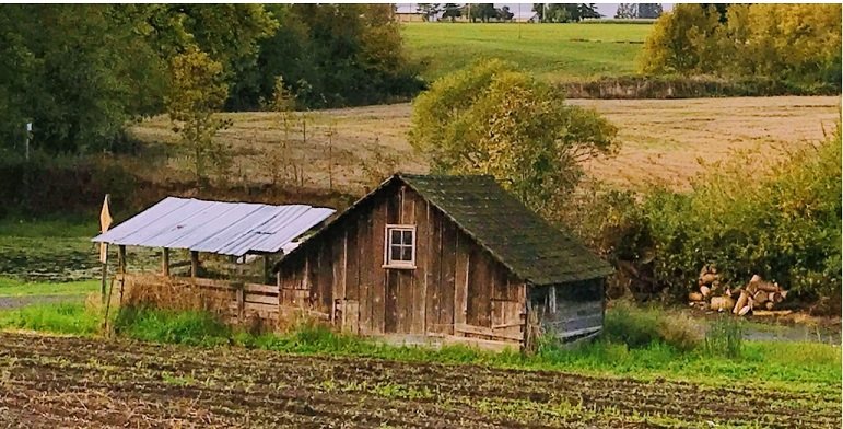 Rustic Barn