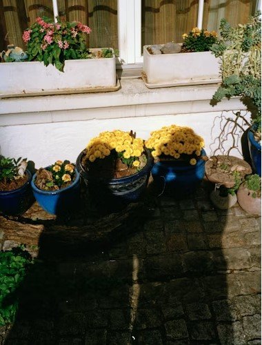 Outdoor Courtyard Filming Spot — New Mexico
